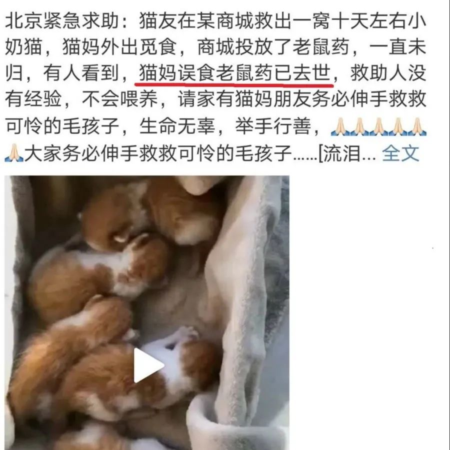 怎么纠正狗狗吃东西躲着人,小狗狗乱吃东西怎么吐出来