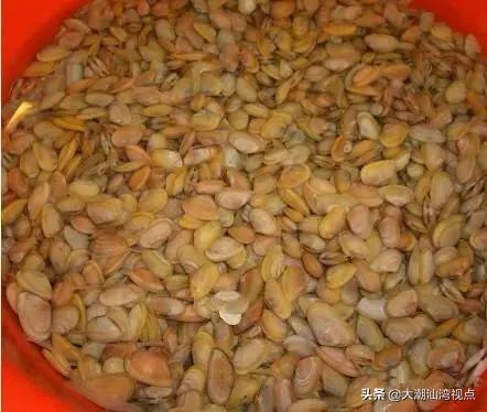 作为潮汕人，这89种海鲜你都能对上号吗