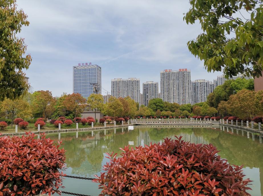 合肥滨湖职业技术学院招生“遇冷”，33个专业没招满，缺额1474人