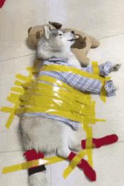 只能亮度调亮才能看得懂的梗,调高亮度才能看懂的梗