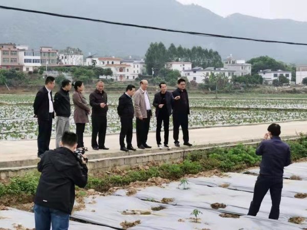 说干就干干就干好——“乡村振兴+行动学习”各试点项目相继点燃“星星之火”