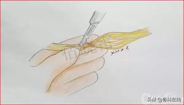 手绘科普类,手绘类科普