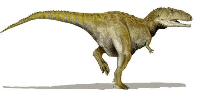 世界上最大的恐龙前10名排行榜,方舟生物恐龙体型排行榜
