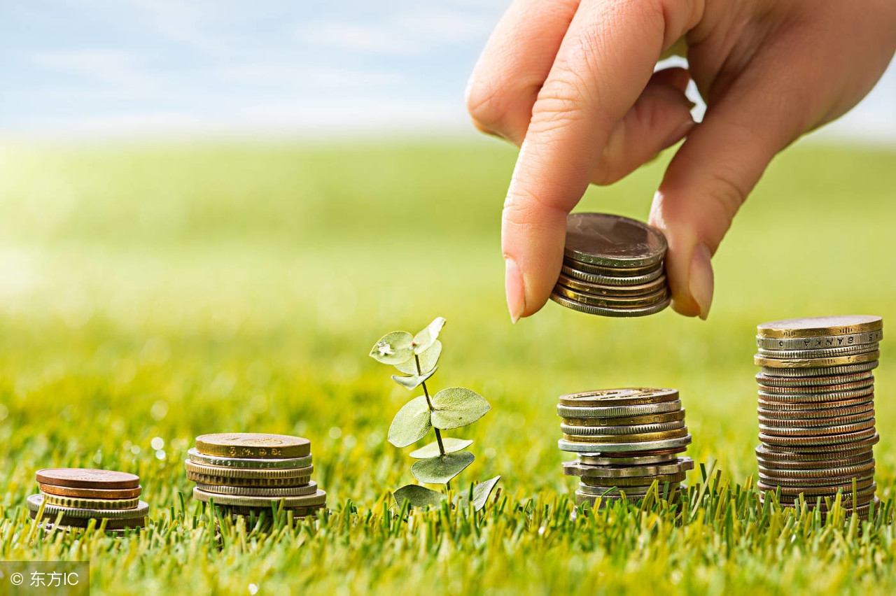 域名投资选择注意事项,域名投资入门和技巧