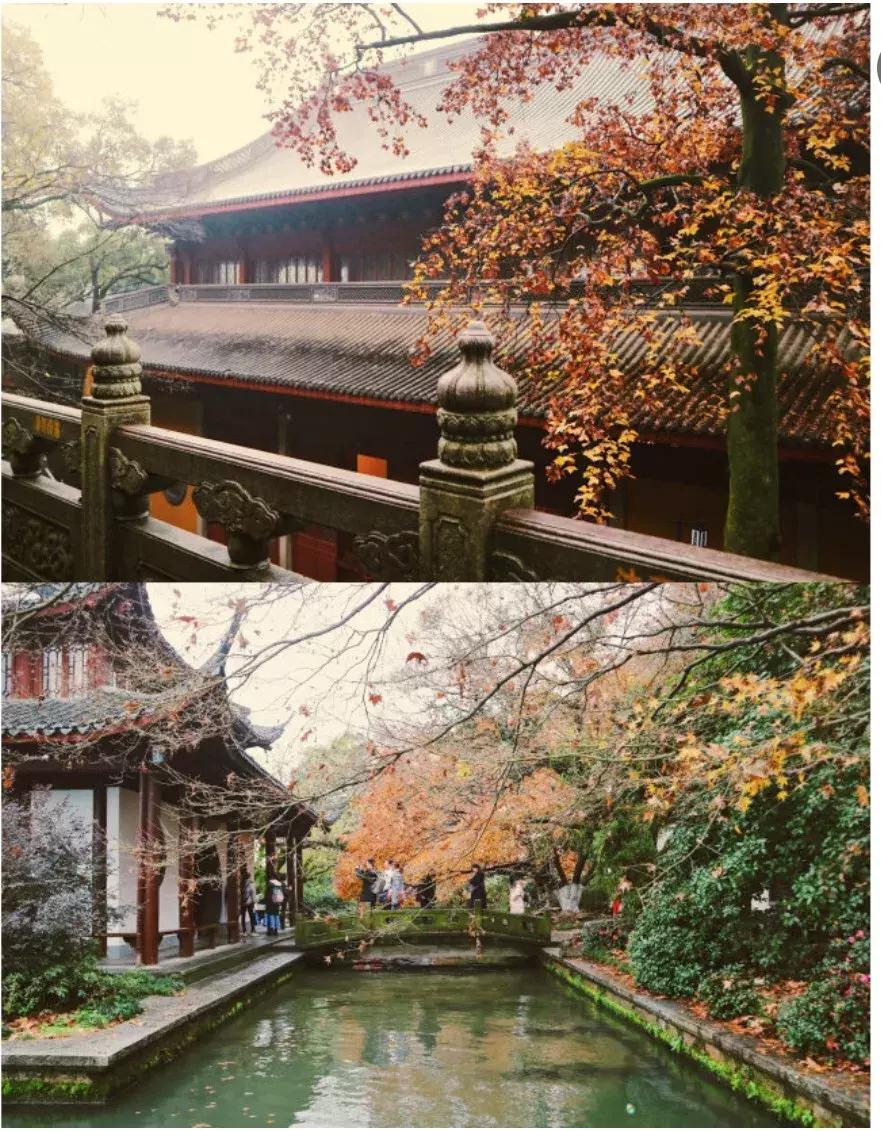 佛了！魔都周边9座「禁欲系寺院」，美到想出家！