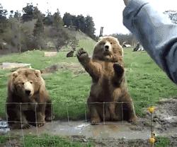 哪种颜色的裤子穿多了会反光,反光裤子在什么情况下反光