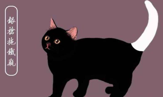 来看看你家猫在古代叫什么名字,古代猫咪花色名称大全