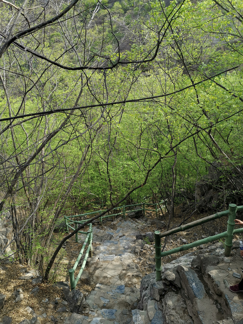 北京周边旅游野鸭湖攻略,北京东湖港旅游攻略