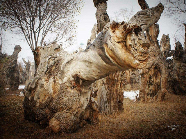 疆之旅自驾游,新疆阿勒泰新旅程