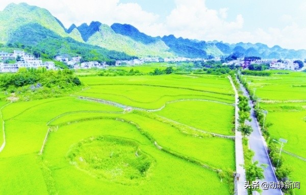 研于山海间学在黔西南