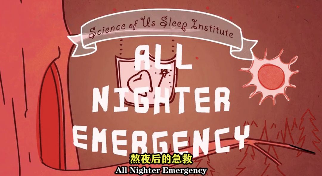 脱发为什么会丑,原来你的头发是这样长出来的