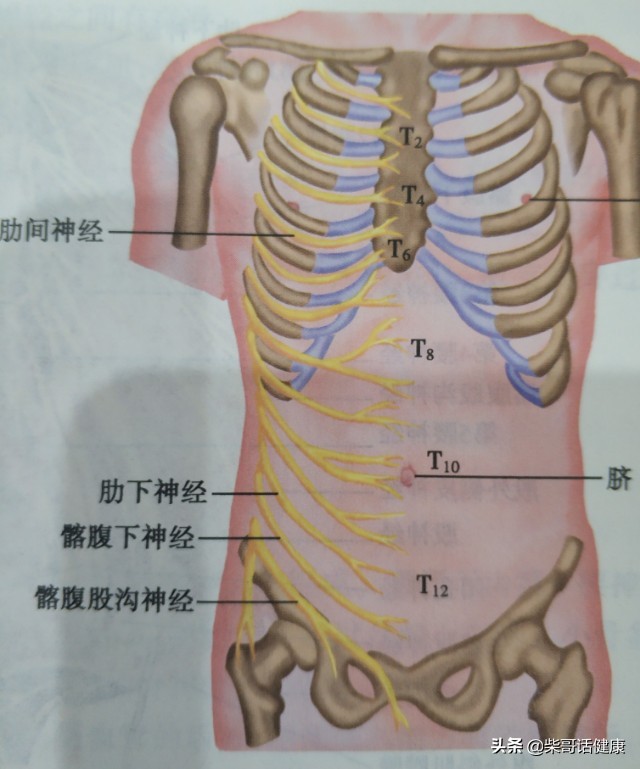 颈椎诊断,颈椎腰椎诊断怎么写