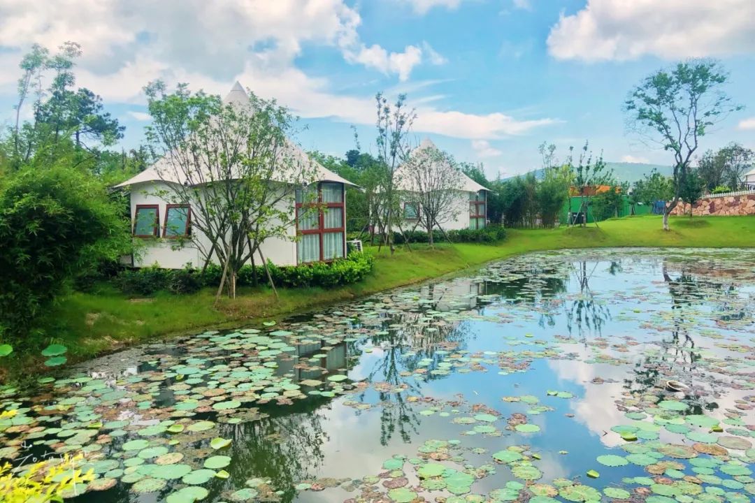 房车露营旅行推荐,自驾出游露营野炊房车营地