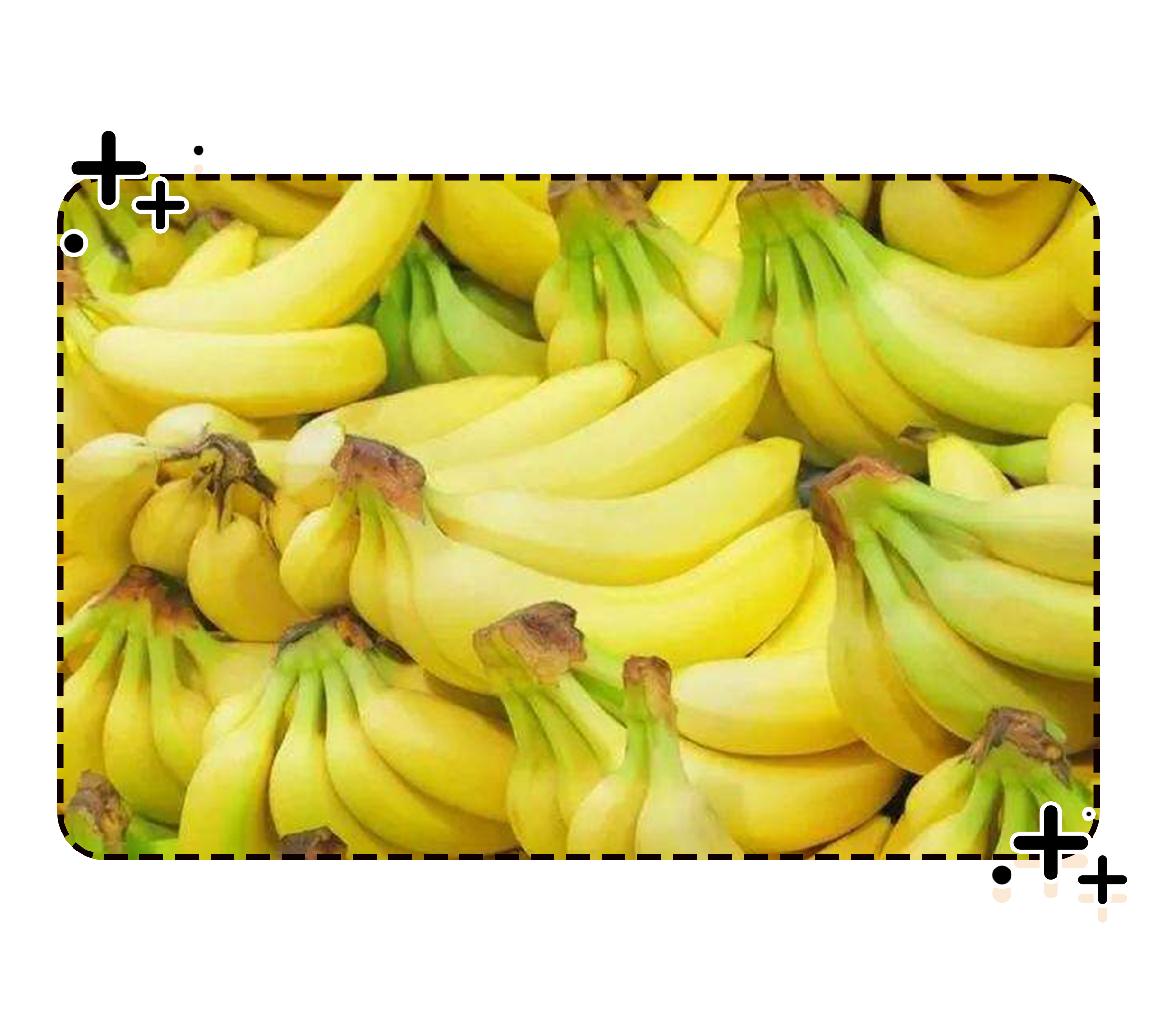 为了阻止荔枝集体自杀，古往今来荔枝控们费尽心机（菲李漫画）