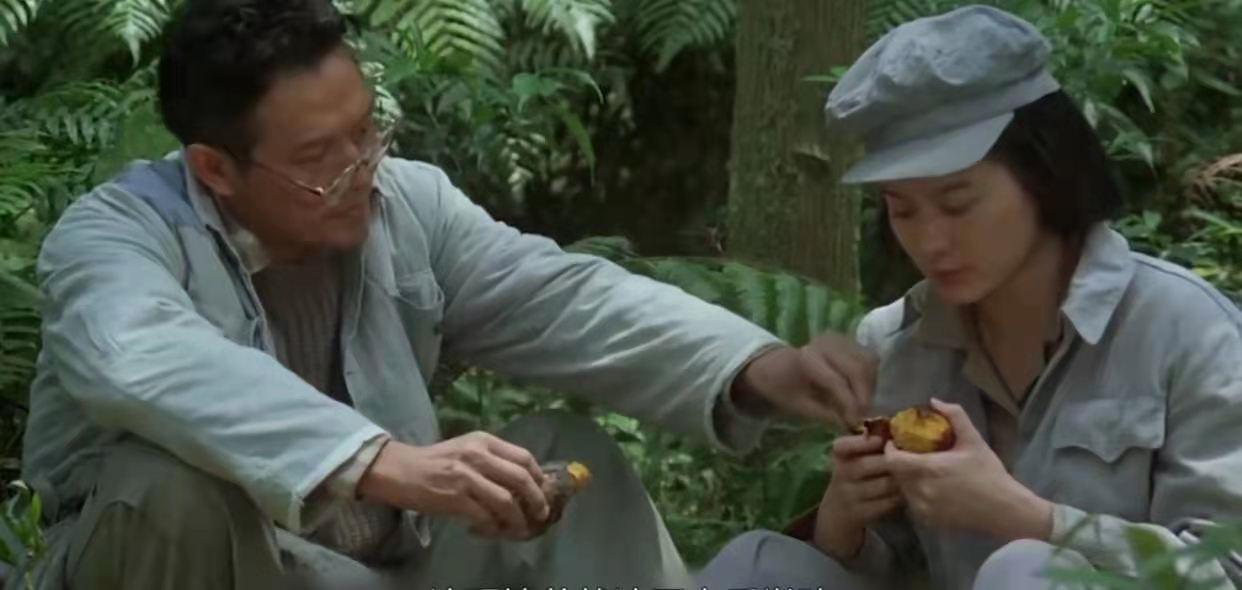 贩母案真实案件,贩母案的真实事件