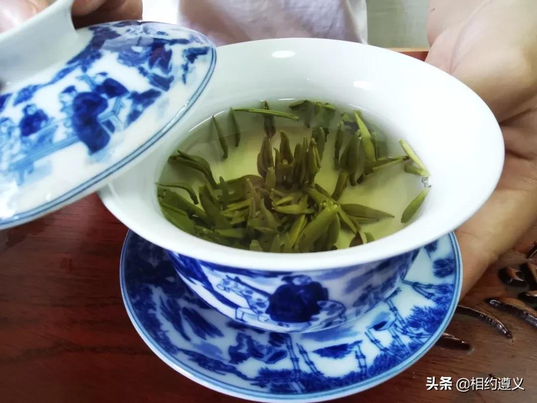 遵义一座来了就不想走的城市,醉美之城遵义太美了