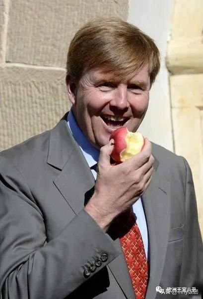 科普向-荷兰：活力有爱橙子国