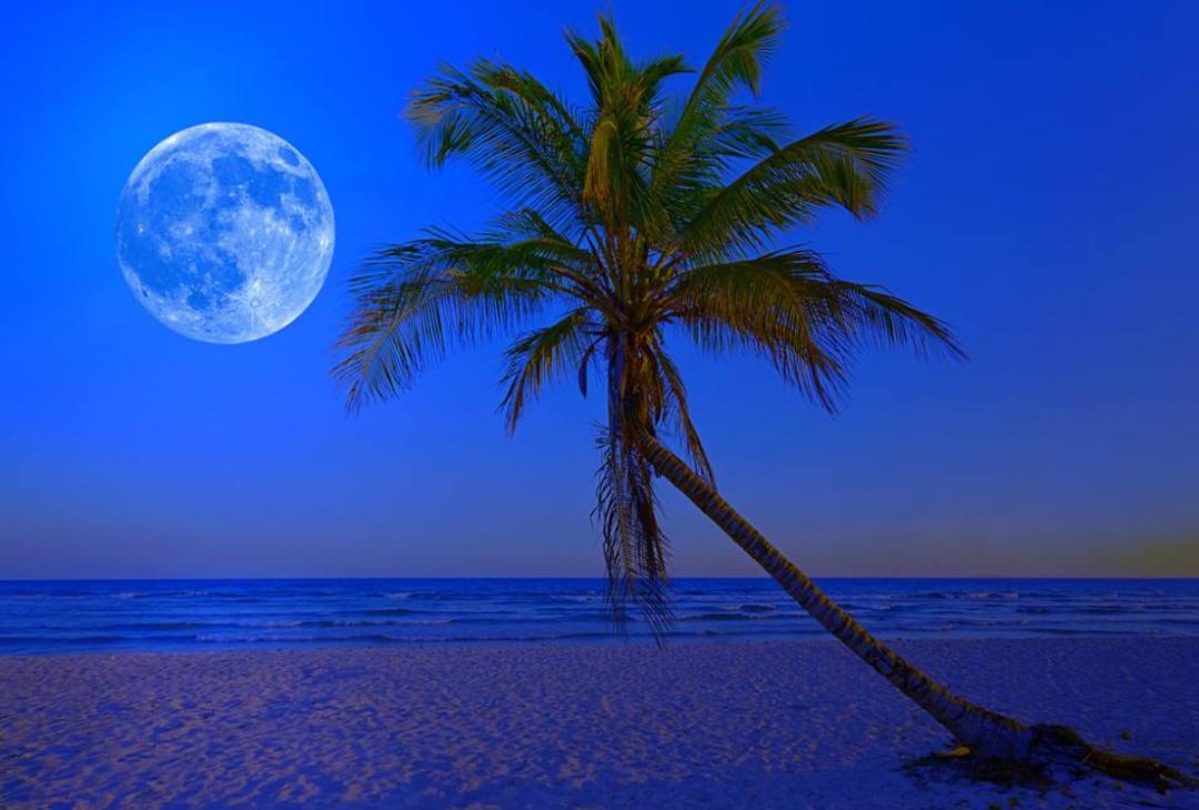 沙爽的活着写作背景,沙爽作品