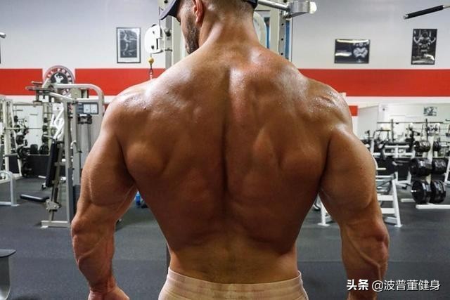 倒三角背部锻炼大解析,不练到斜方肌的倒三角身材训练