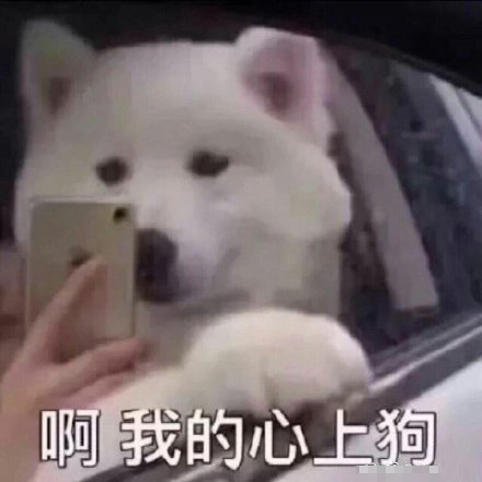 撩男朋友坏坏表情包一套自取,撩男生很甜很撩表情包