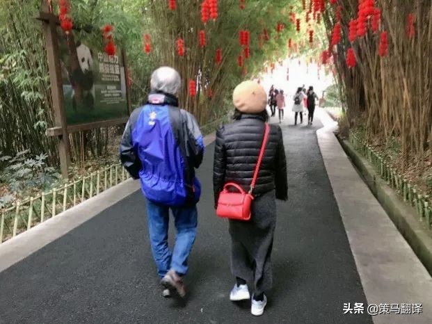 译界大咖，莅临策马翻译（成都），执教寒假口译班