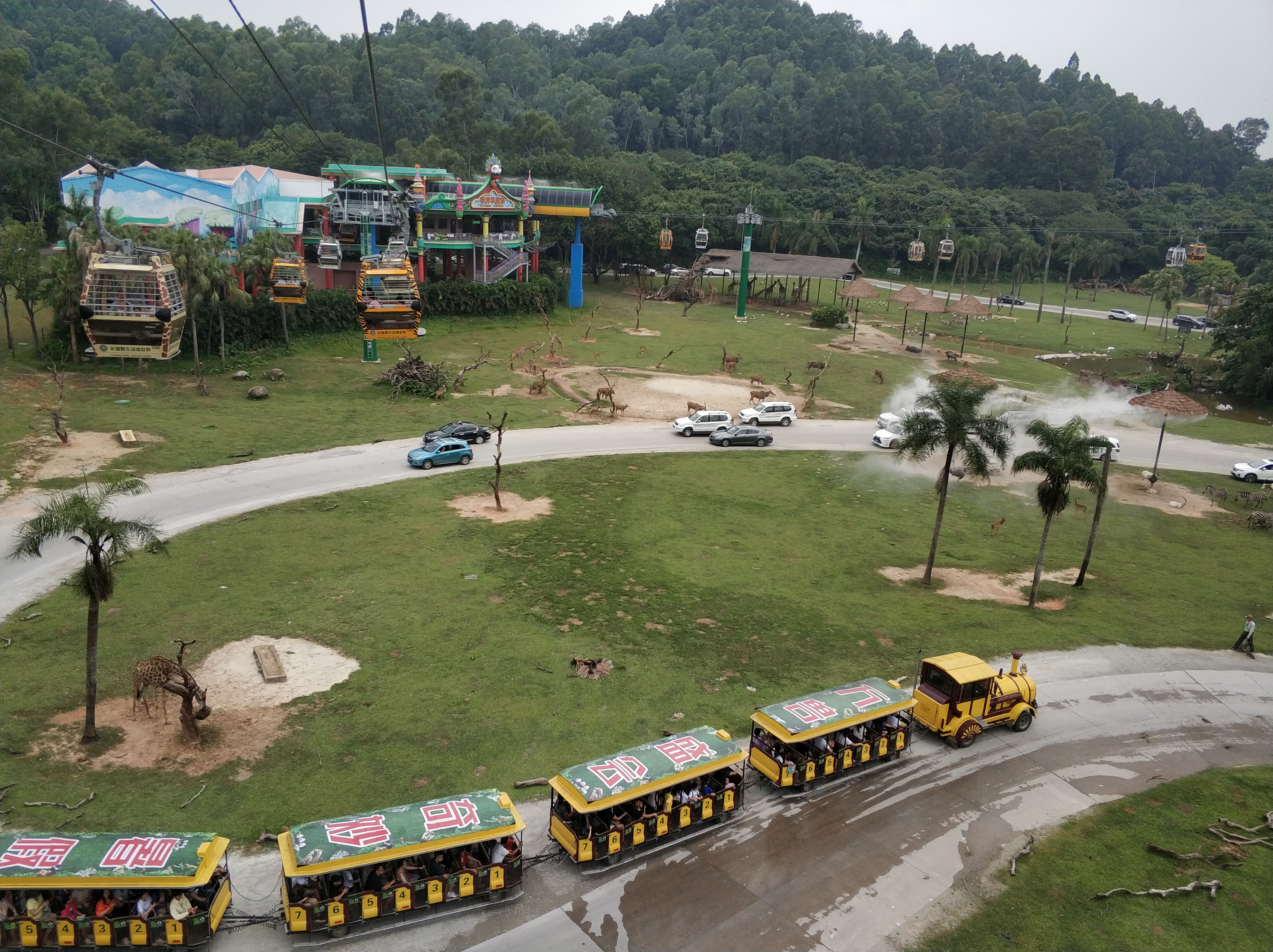 广州长隆野生动物园1天1夜,带孩子去广州长隆野生动物园