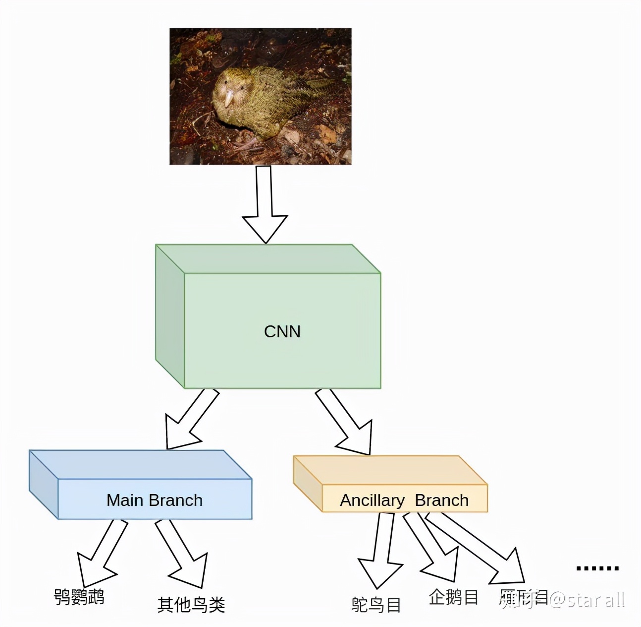 相关分析基础上怎么做模型分析,模型先验符号怎么确定