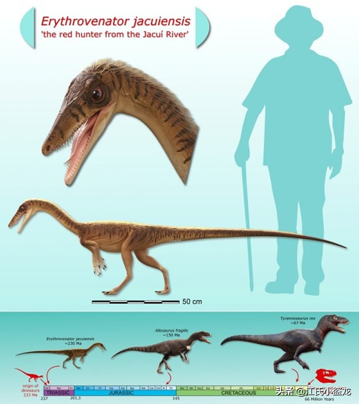古生物生物学家,古生物科学家