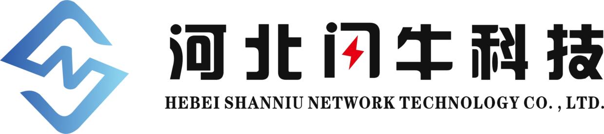 河北闪牛网络科技有限公司,河北闪牛网络科技