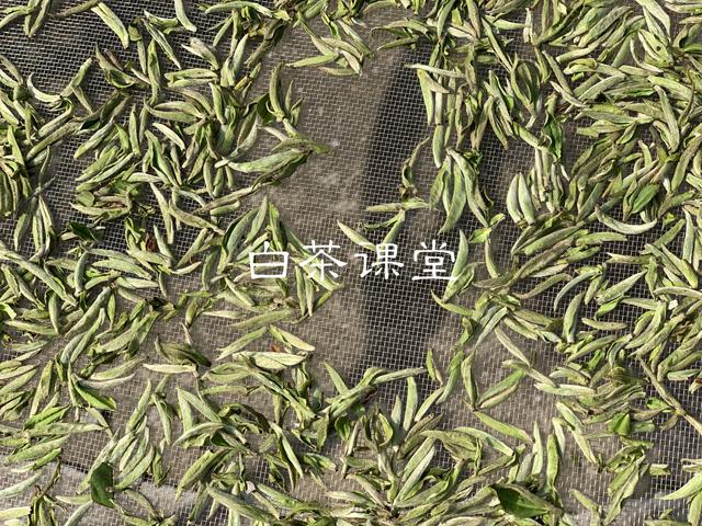 看完这六个问题你还敢迷茫吗,看完这六个问题你还再迷茫吗