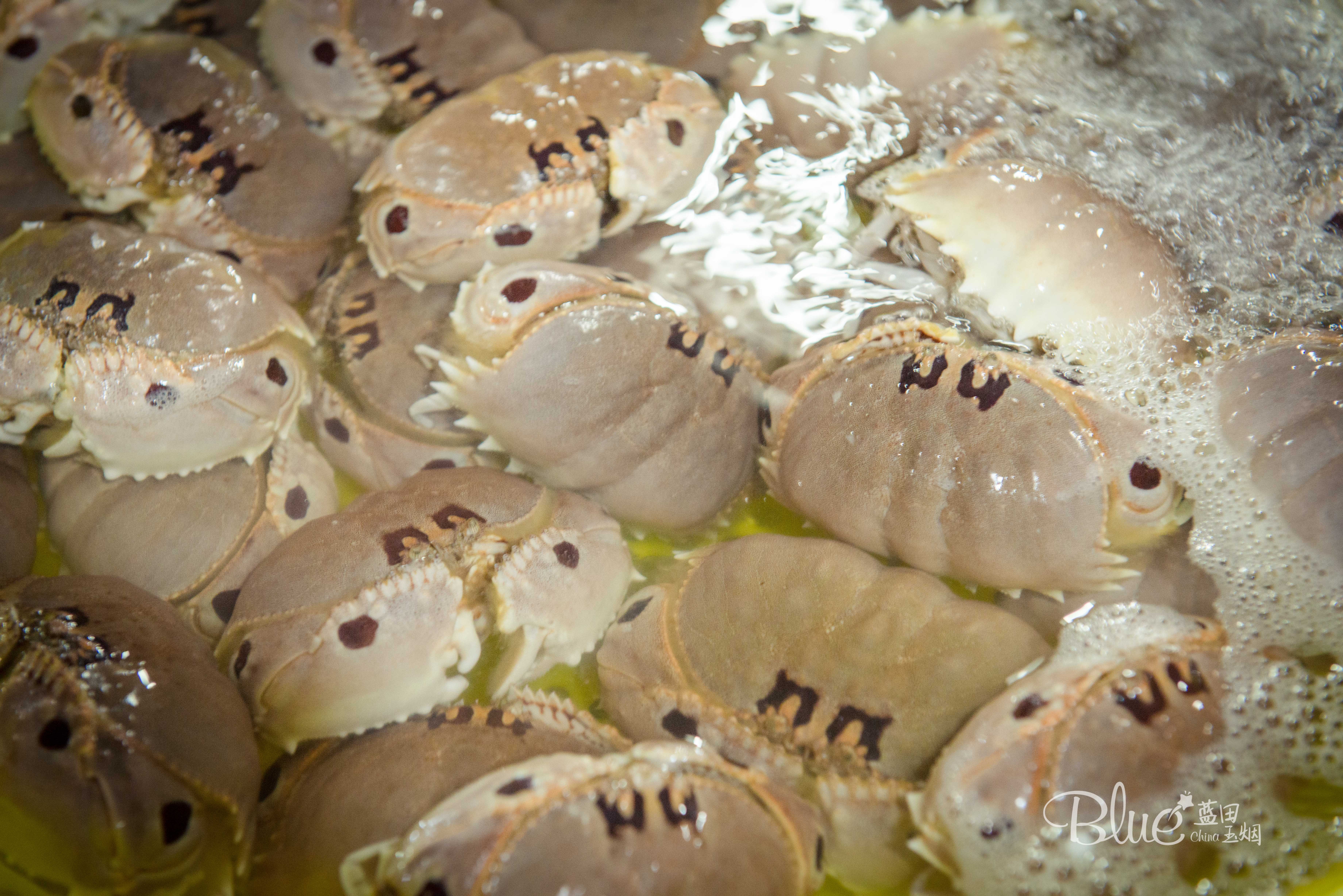 海口海鲜市场哪里比较好,海口板桥海鲜市场海鲜新鲜吗