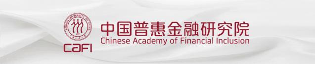 CAFI洞察｜农村数字普惠金融业务的平台基础