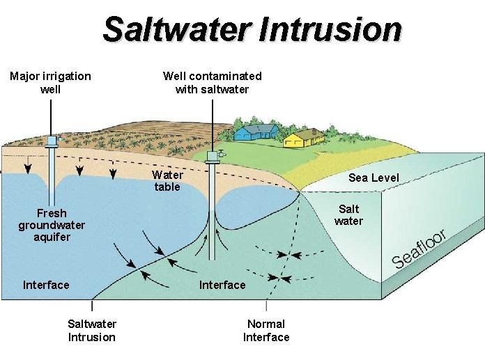 大海在后退？我国东部地区两千多年来多出一个省的面积，谁的功劳