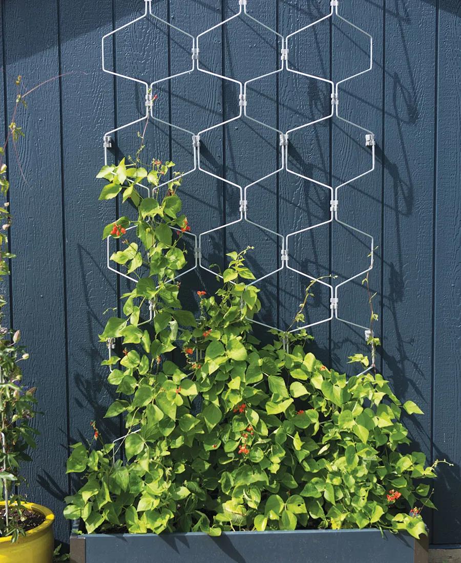 9款花园趁手好工具，用了之后，腰不疼腿不酸了