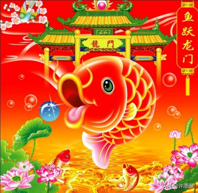 锦鲤十一月好运,十一月锦鲤运气