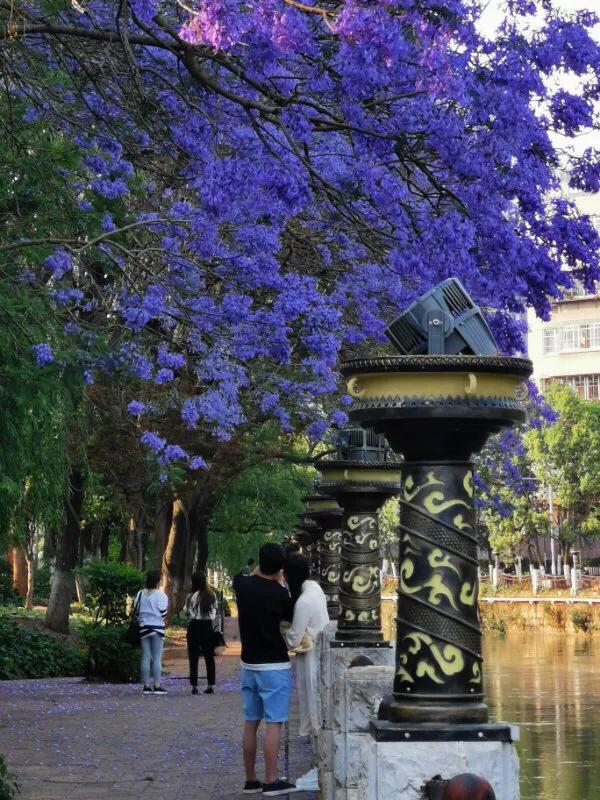 手拍世界,手拍世界作品专集