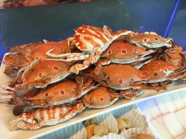 三亚海底酒店,三亚海底酒店海底套房