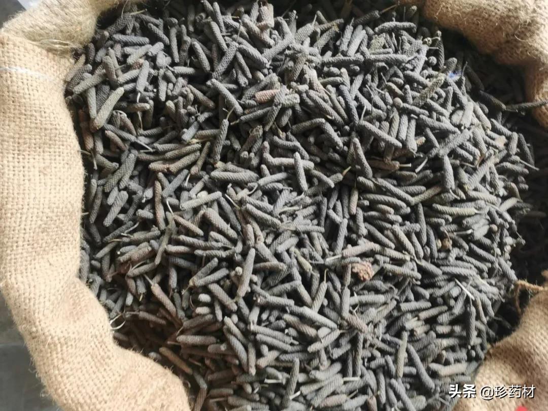 药材产地行情日报,2020年7月药材市场药材价格快讯