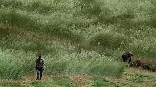 100张照片一百种幸福,100张图片带你去云南