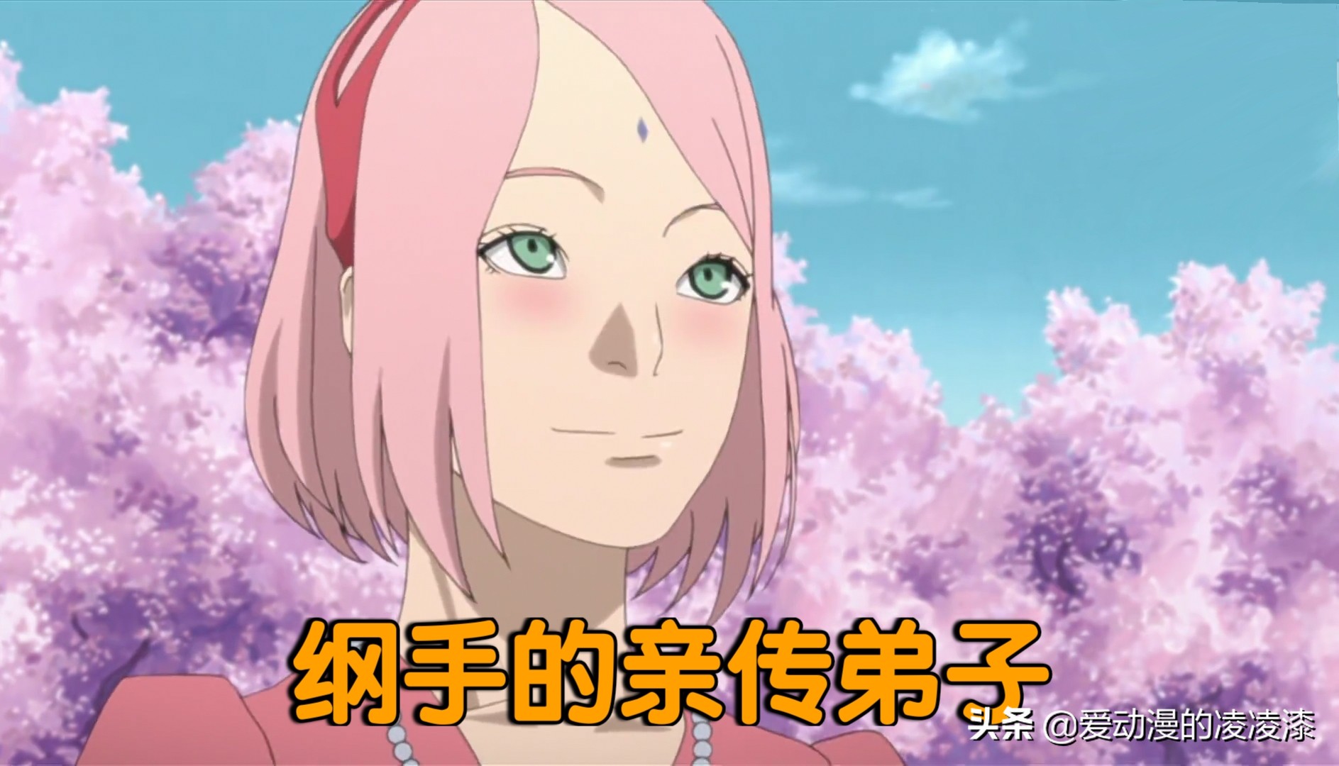 火影忍者四大力量,火影忍者中的四大护法