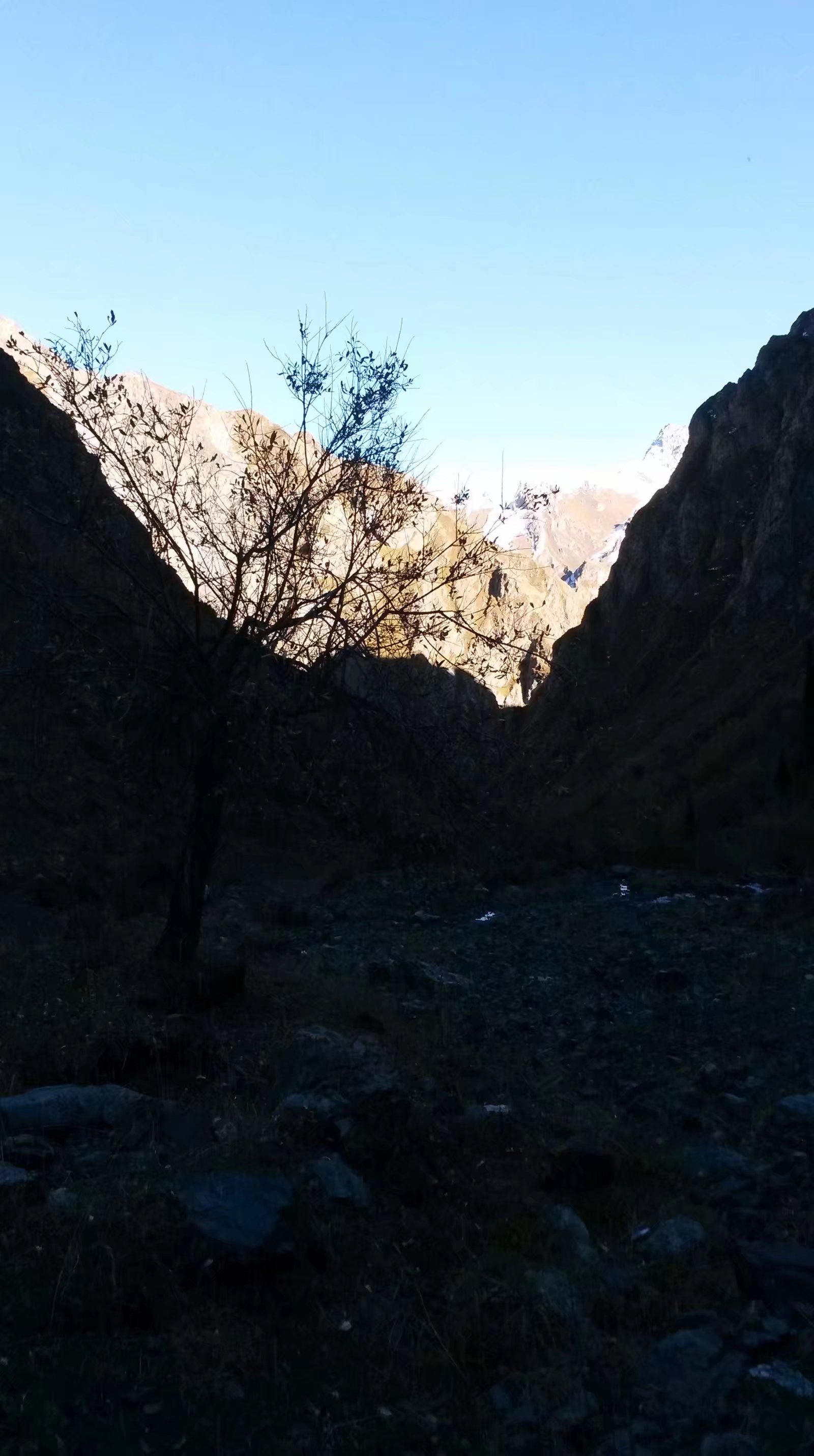 带上UL从狼塔C回家