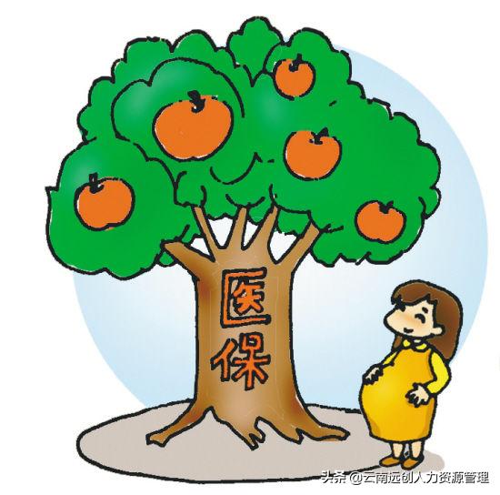 连云港医保卡补办在哪里补办,医保卡丢失怎么补办去哪里补办