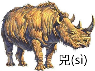 山海经里哪些怪兽是真实存在的,山海经至今存在过的怪兽