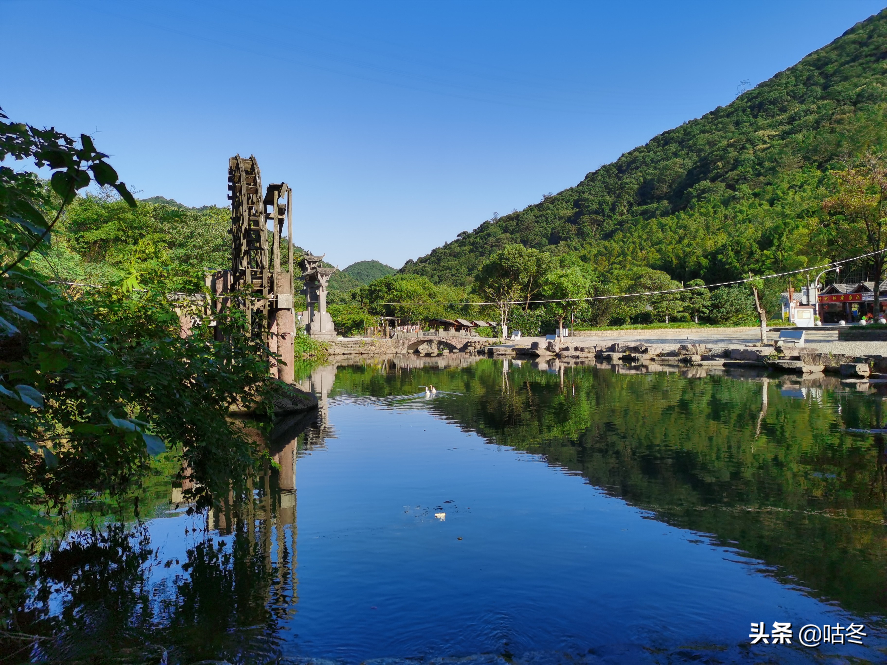 宁波九龙湖风景区免费游玩攻略,宁波九龙湖旅游度假区猴岛官方