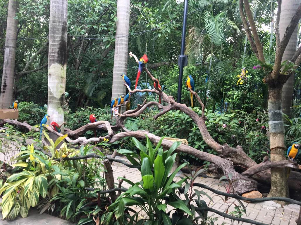 广州珠海长隆亲子游攻略,珠海广州长隆攻略亲子游