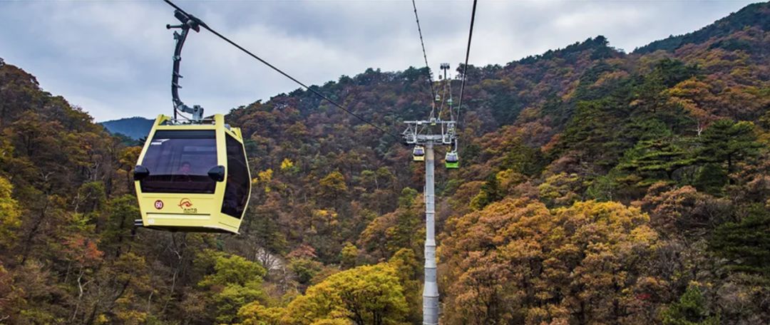 六安天堂寨免门票政策,天堂寨六安户口免费游