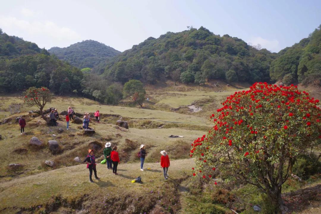 腾冲高山草甸景点,腾冲高原草场