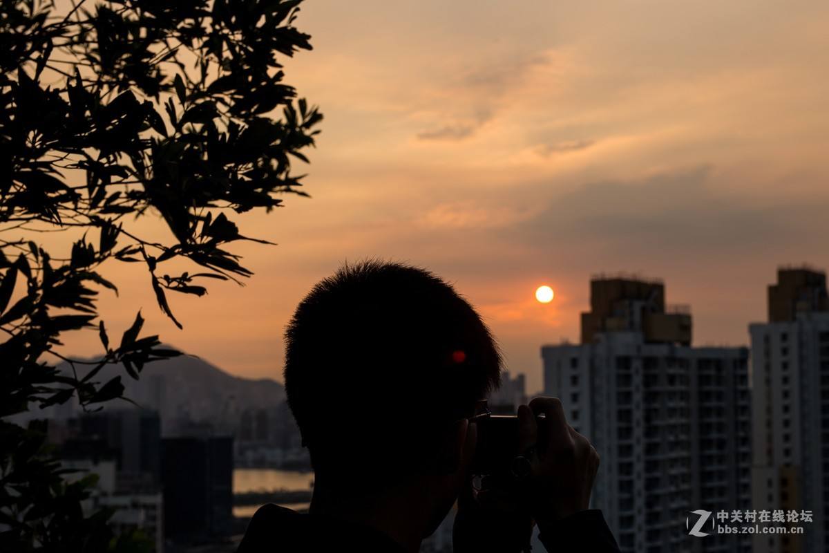 最新最全各类纪念日,不同国家的纪念日