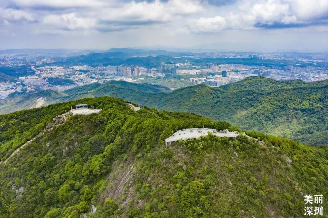 不离深也能“游”|公园超全攻略来了！千园之城，总有一款公园适合你