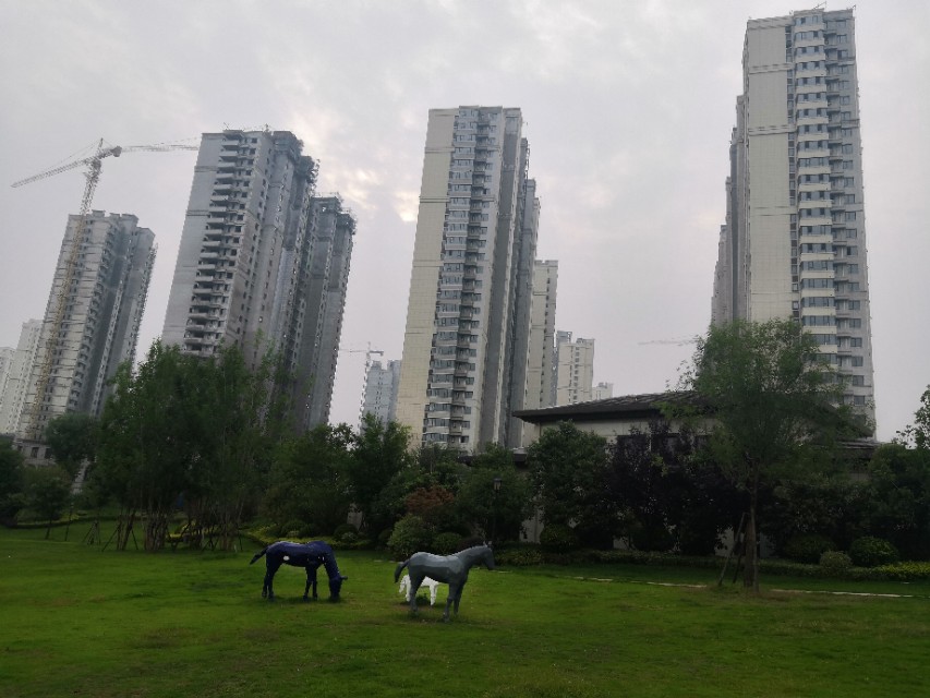 智慧城足球场夜场图片,智慧城足球场一圈多少米